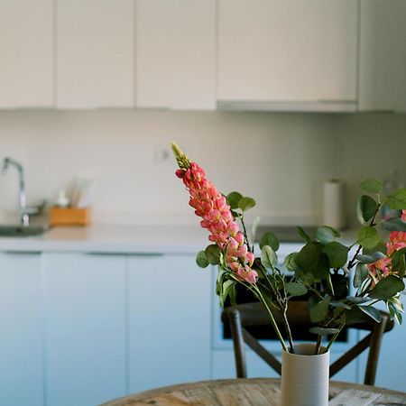 Apartamentos El Marques مالقة المظهر الخارجي الصورة